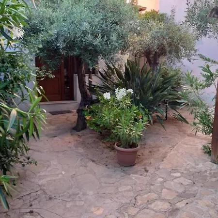 I Ginepri * 奧爾比亞